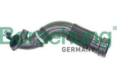 Intake Snorkel Borsehung B12325