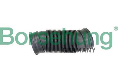 Intake Snorkel Borsehung B12326