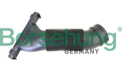 Intake Snorkel Borsehung B12327