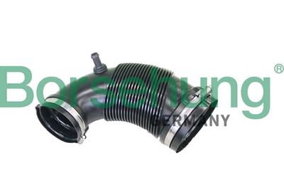 Intake Snorkel Borsehung B12328