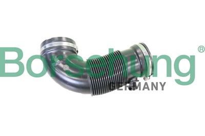 Intake Snorkel Borsehung B12329