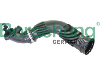 Intake Snorkel Borsehung B12335