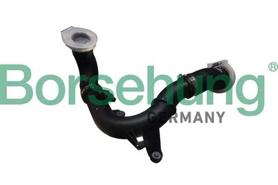 Charge Air Hose Borsehung B12347