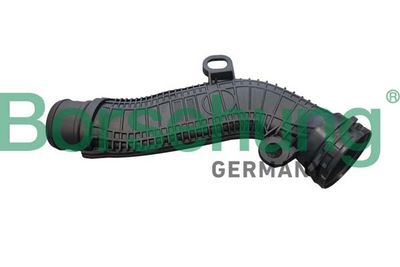 Hose, crankcase ventilation Borsehung B12348