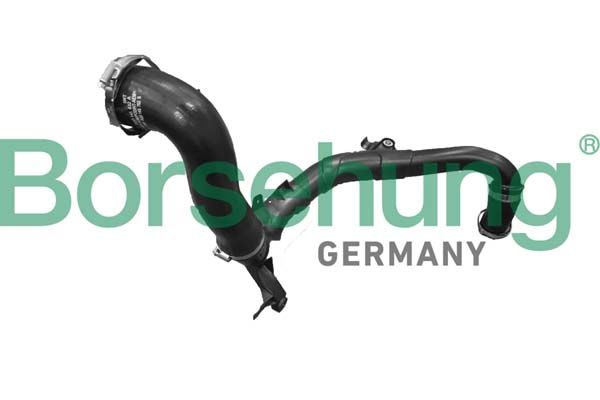 Borsehung B12353 Charge Air Hose
