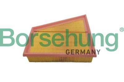 Air Filter Borsehung B12359