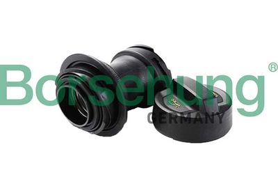 Pipe, oil filler neck Borsehung B12389
