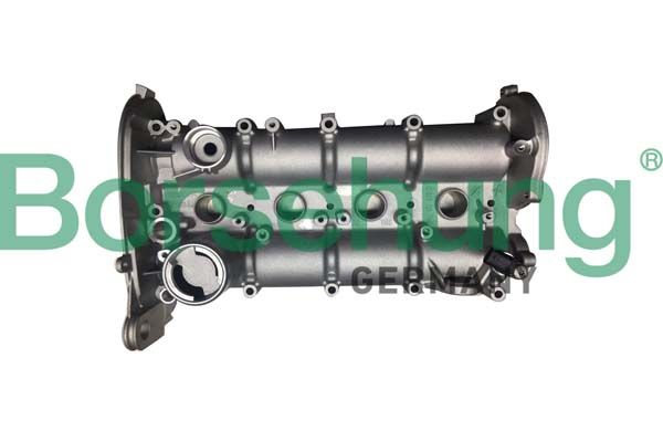 Borsehung B12392 Cylinder Head Cover