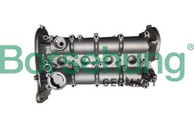 Cylinder Head Cover Borsehung B12392