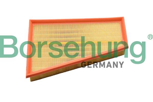 Borsehung B12397 Air Filter