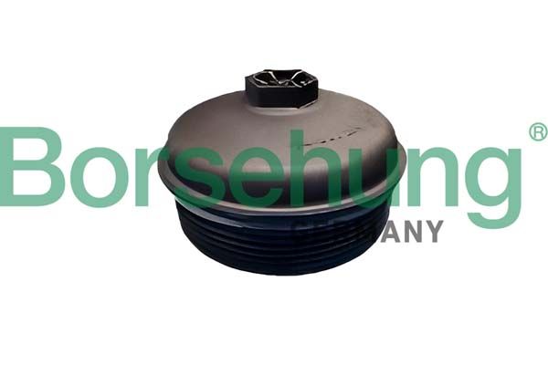 Borsehung B12410 Cap, oil filter housing