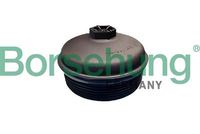 Cap, oil filter housing Borsehung B12410