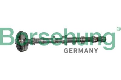 Camshaft Borsehung B12413