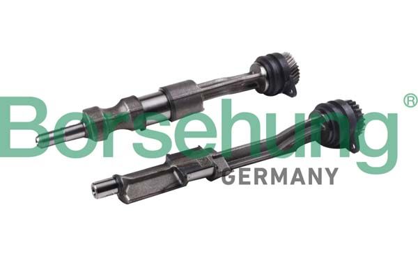 Borsehung B12429 Lock Mandrel, balancer shaft