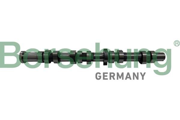 Borsehung B12431 Camshaft