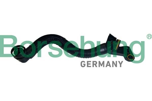 Borsehung B12435 Hose, crankcase ventilation
