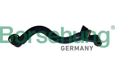 Hose, crankcase ventilation Borsehung B12435