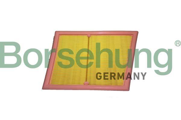 Borsehung B12439 Air Filter