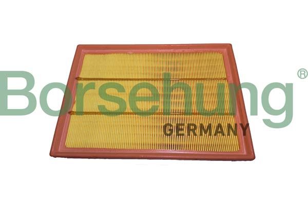 Borsehung B12440 Air Filter