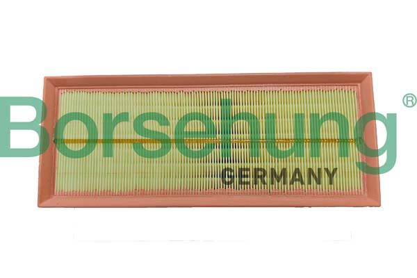 Borsehung B12447 Air Filter