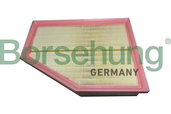Borsehung B12450 Air Filter