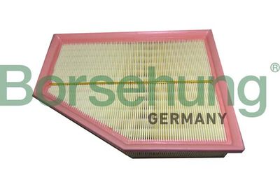 Air Filter Borsehung B12450