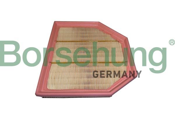 Borsehung B12454 Air Filter