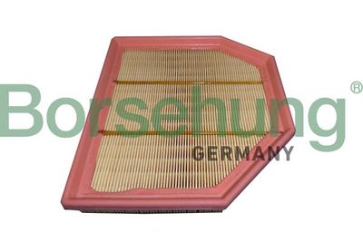 Air Filter Borsehung B12455