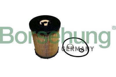 Oil Filter Borsehung B12456
