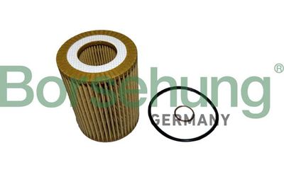 Oil Filter Borsehung B12458