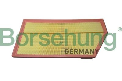 Air Filter Borsehung B12465