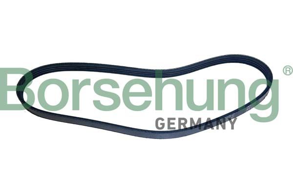 Borsehung B12500 V-ribbed Belt