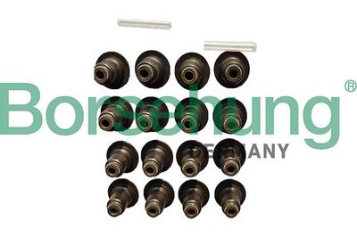 Seal Ring, valve stem Borsehung B12506