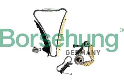 Timing Chain Kit Borsehung B12519