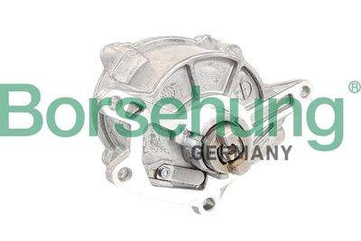 Vacuum Pump, braking system Borsehung B12525