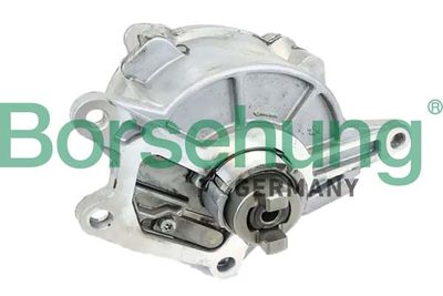 Vacuum Pump, braking system Borsehung B12526