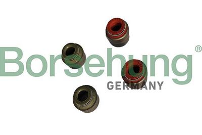 Seal Ring, valve stem Borsehung B12534