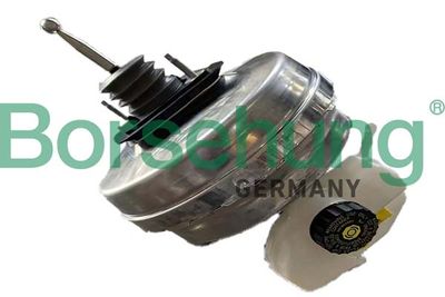 Brake Master Cylinder Borsehung B12537