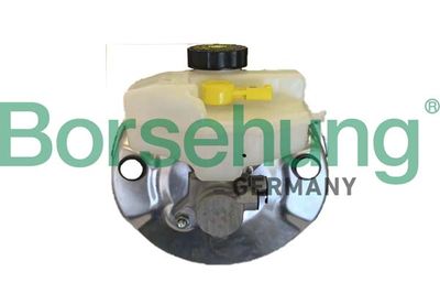 Brake Master Cylinder Borsehung B12538