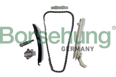 Timing Chain Kit Borsehung B12554