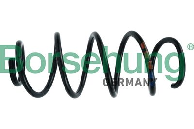 Suspension Spring Borsehung B12562
