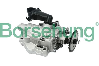 Oil Pump Borsehung B12693