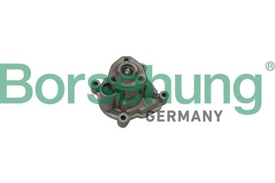 Water Pump, engine cooling Borsehung B12696