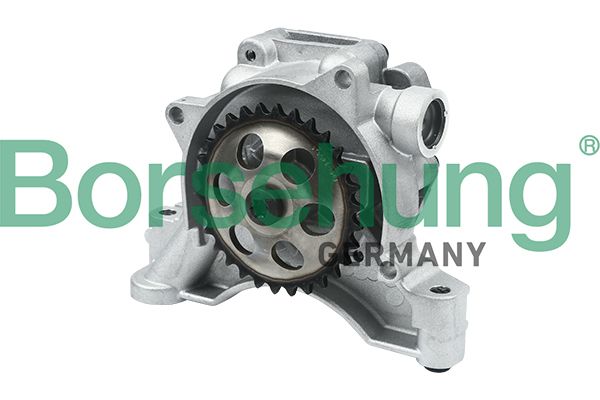 Borsehung B12697 Oil Pump
