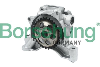 Oil Pump Borsehung B12697