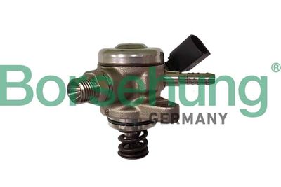 High-pressure Pump Borsehung B12716