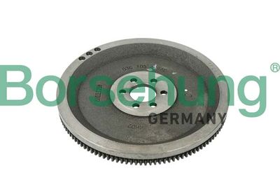 Flywheel Borsehung B12718