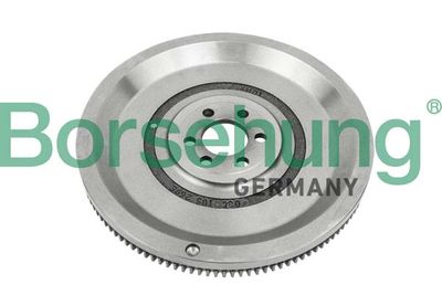 Flywheel Borsehung B12719