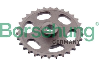 Timing Chain Kit Borsehung B12724
