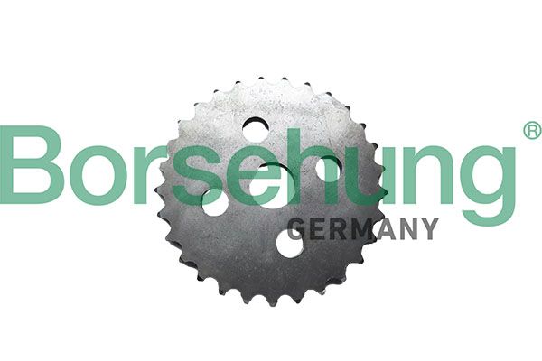 Borsehung B12731 Oil Pump